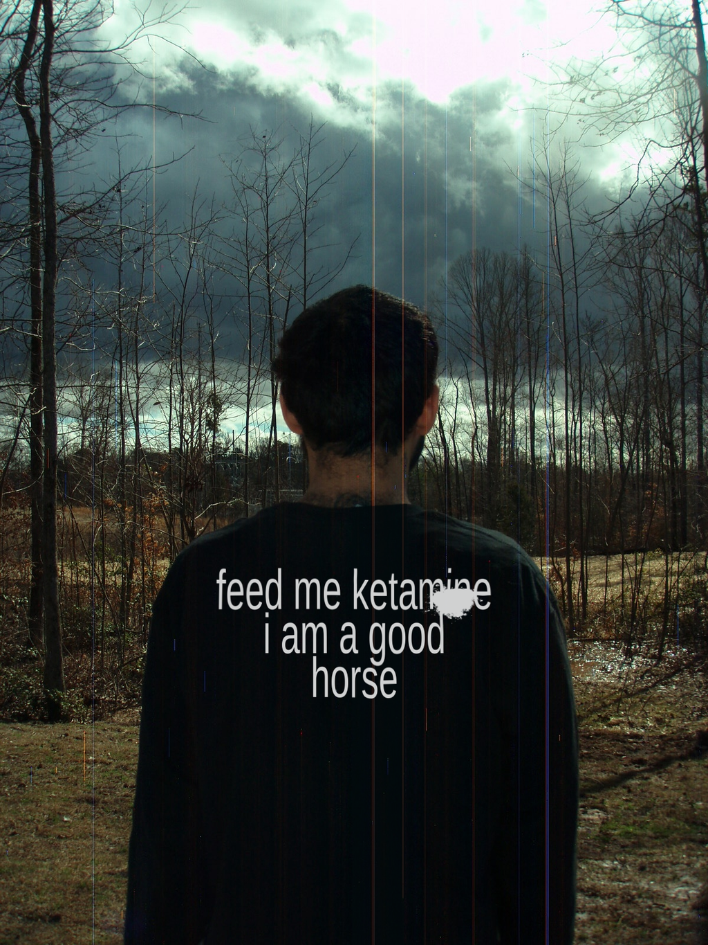 horse black long sleeve